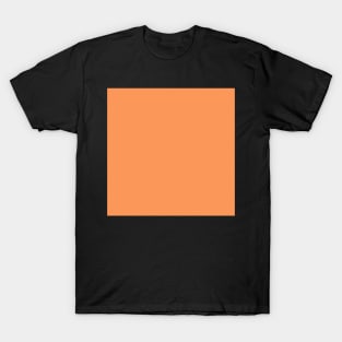 Muted Orange T-Shirt